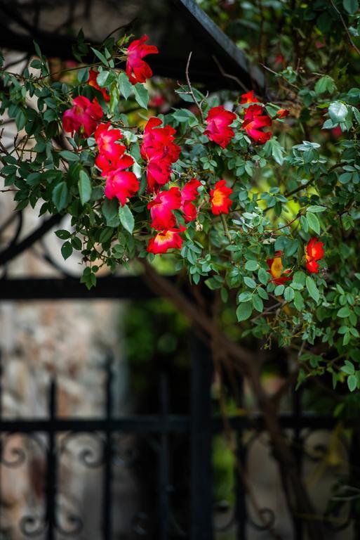 فيلا Mulberry House Sithonia المظهر الخارجي الصورة
